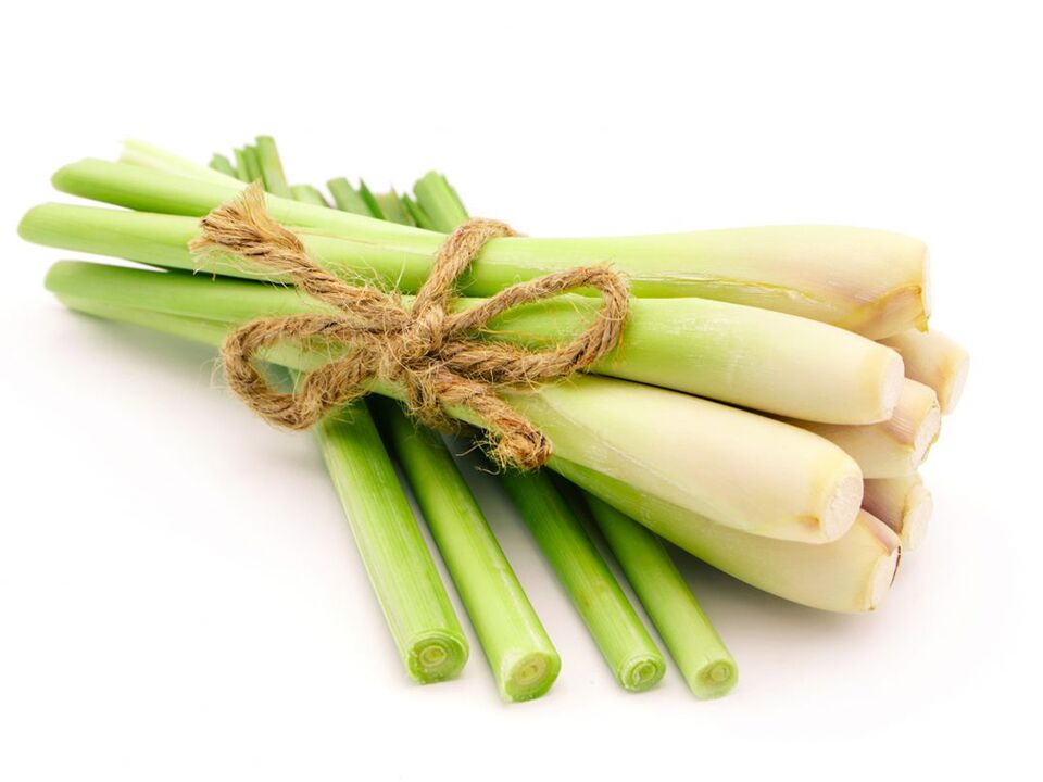 Citronella in Alcozar